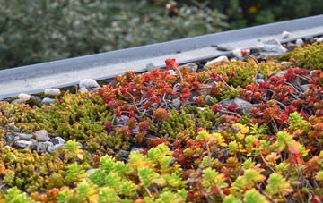 the cost of Stanion green roof installation