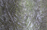 Stanion fibreglass roof work